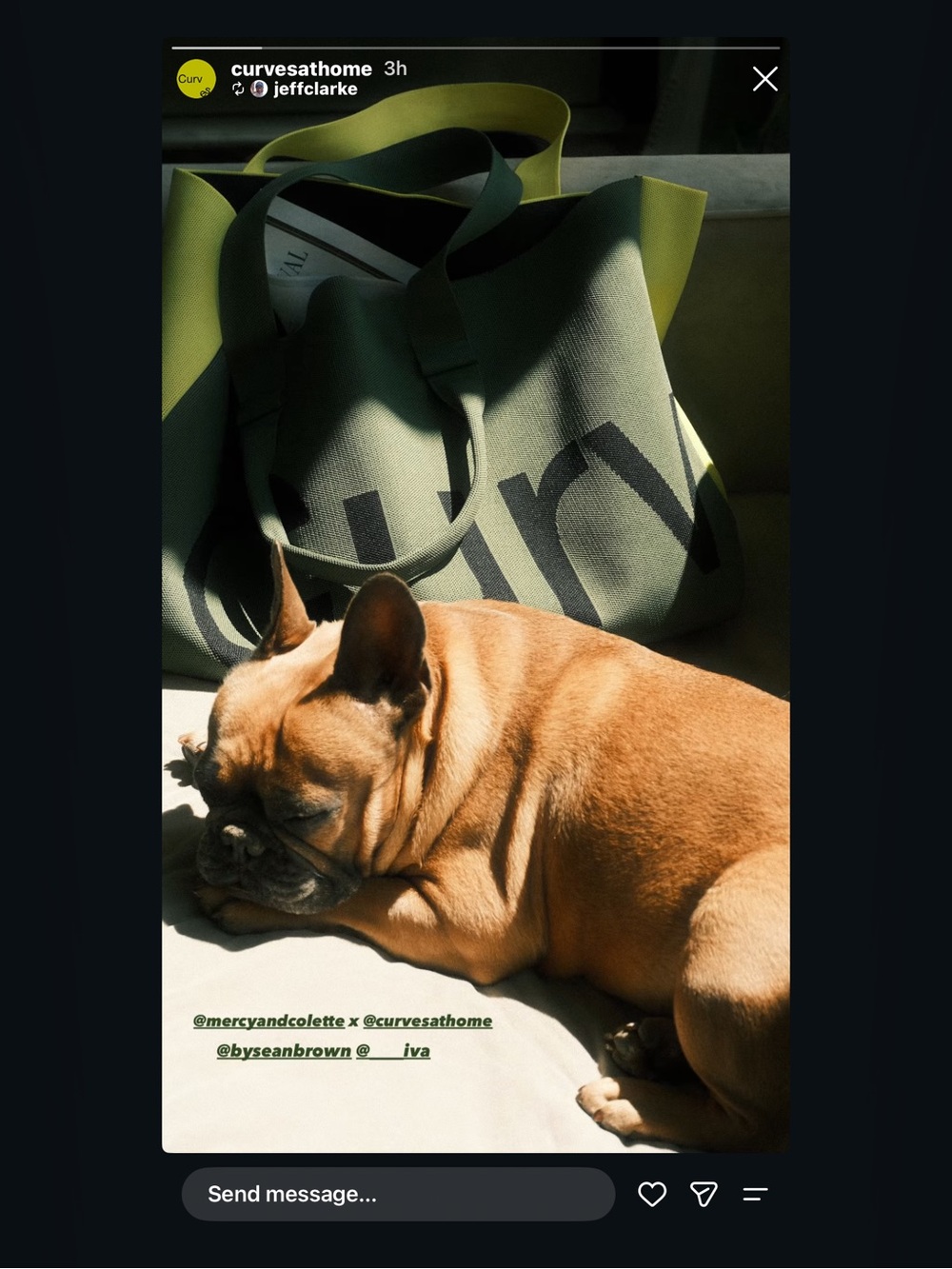 Olive Green Tote Bag - Stylish Everyday Pet-Friendly Carryall